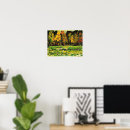 Recherche de bayou art Nature