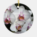 Search for white orchids ornaments Floral