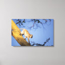 Search for monkey painting canvas prints Animal