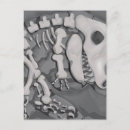 Search for dinosaur fossil postcards Bones