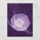 Recherche de meduse cartes postales Sous l'eau