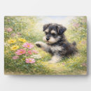 Recherche de le chiot plaques Toute personne