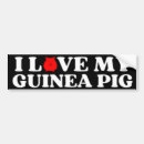 Recherche de cochon voiture autocollants Cobaye