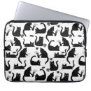 Search for white cat cases Kittens