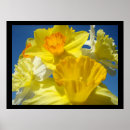 Search for spring birthday art Nature