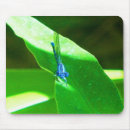 Search for dragon fly electronics Insect