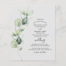 Search for elegant green and white invitations Budget