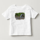 Search for virgin river tshirts North america