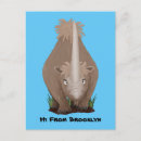 Search for extinction postcards Prehistoric