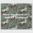 Search for vizsla wrapping paper Birthday