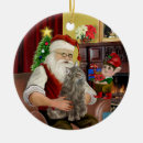 Search for norwegian ornaments Norwegian forest cat