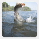 Search for vessels labels Fishing