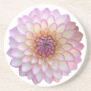Search for dahlia flower coasters Garden