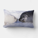 Recherche de phoque coussins Mignon