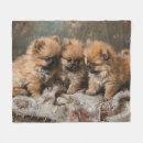 Search for pomeranian blankets Cute