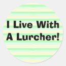Search for sighthound stickers Lurcher