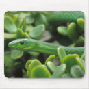 Recherche de oriental tapis souris Animal