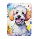 Recherche de caniche magnets Animal