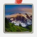Search for mt rainier ornaments Hike