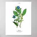 Recherche de housewarming gifts Blue