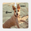 Search for australian cattle dog ornaments Animal
