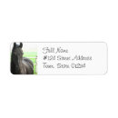 Search for black horse return address labels Horses