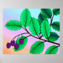 Recherche de deco blackberry posters Feuille