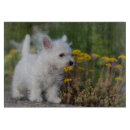 Recherche de westie planches à découper Terrier