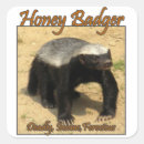 Search for insane stickers Animal