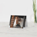 Search for horse lover cards Farm animals