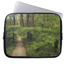 Search for tranquil scene cases Travel destinations