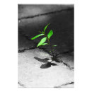 Recherche de resilience posters Adaptation