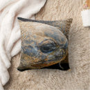 Search for tortoise pillows Reptiles