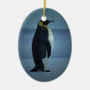 Search for emporers Bird