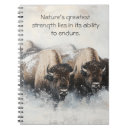 Search for blizzard notebooks Nature