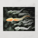 Recherche de spermies cartes postales Abstrait