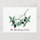 Recherche de mûre blackberry posters Nature