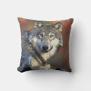 Recherche de loup gris coussins Canis lupus
