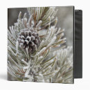 Search for cones binders Tree