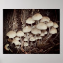 Search for tree stump art Forest