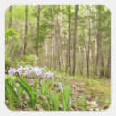 Search for smokies stickers Hiking