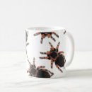 Search for tarantula mugs insect