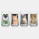 Recherche de félin chopes Chats