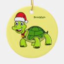 Search for tortoise ornaments Cartoon