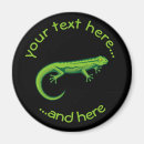 Recherche de lézard magnets Gecko