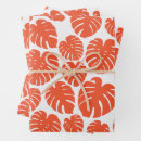 Search for monstera wrapping paper Plant