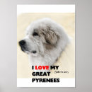 Search for great pyrenees art Animals