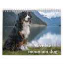 Search for bernese mountain dog gifts Winter