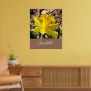 Search for daffodil posters Photography