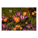 Recherche de safran posters Floral